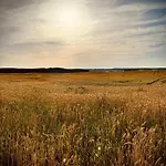 Siedlisko Dobrych Snow Фермерский дом Старе-Юхи