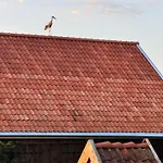 Siedlisko Dobrych Snow Фермерский дом