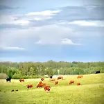 Фермерский дом Siedlisko Dobrych Snow Старе-Юхи