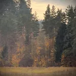 Siedlisko Dobrych Snow Фермерский дом