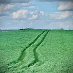 Siedlisko Dobrych Snow *