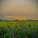 Siedlisko Dobrych Snow Фермерский дом *