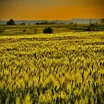 Фермерский дом Siedlisko Dobrych Snow *