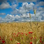 Siedlisko Dobrych Snow Старе-Юхи