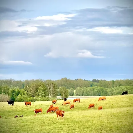 Farm stay Siedlisko Dobrych Snow Stare Juchy