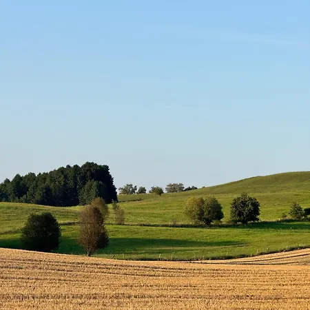 Farm stay Siedlisko Dobrych Snow