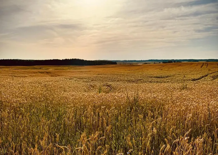 Siedlisko Dobrych Snow Farm stay Stare Juchy