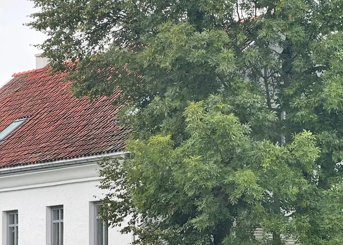 Siedlisko Dobrych Snow Farm stay *