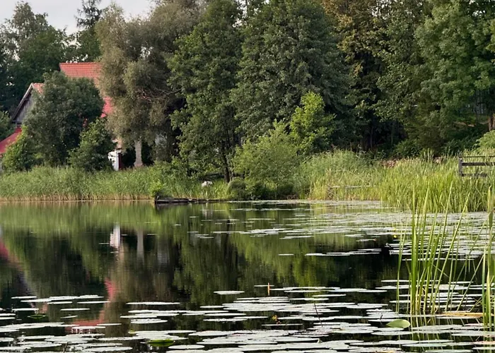 Farm stay Siedlisko Dobrych Snow *