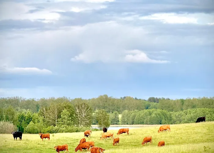 Farm stay Siedlisko Dobrych Snow Stare Juchy