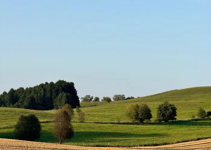 Farm stay Siedlisko Dobrych Snow