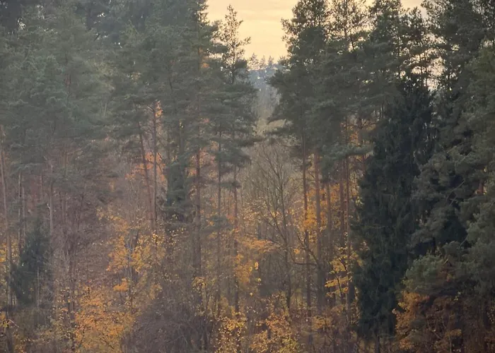 Siedlisko Dobrych Snow Farm stay