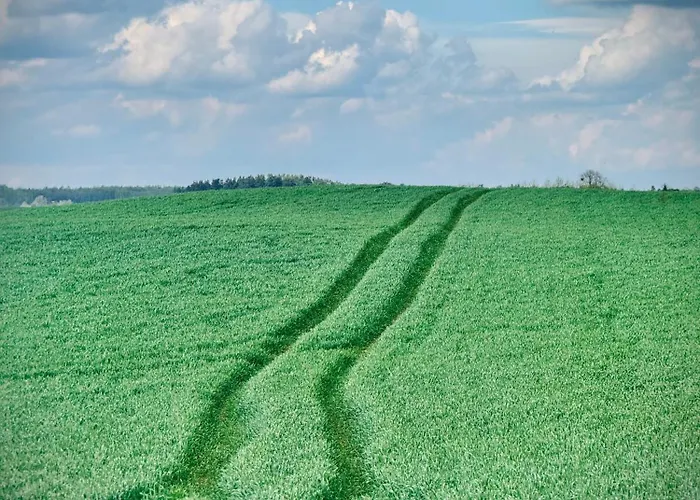 Siedlisko Dobrych Snow *