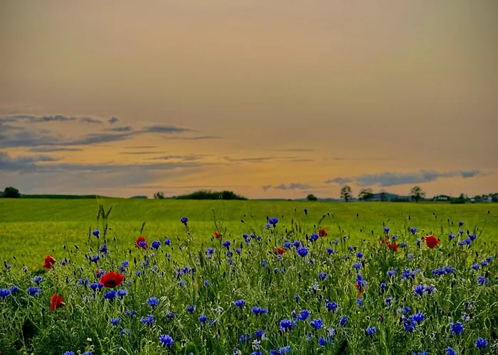 Siedlisko Dobrych Snow Farm stay *