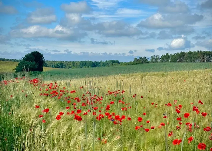 Siedlisko Dobrych Snow Farm stay Stare Juchy