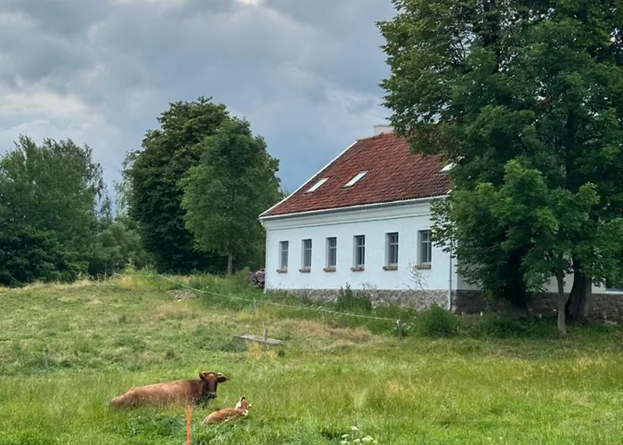 Siedlisko Dobrych Snow *