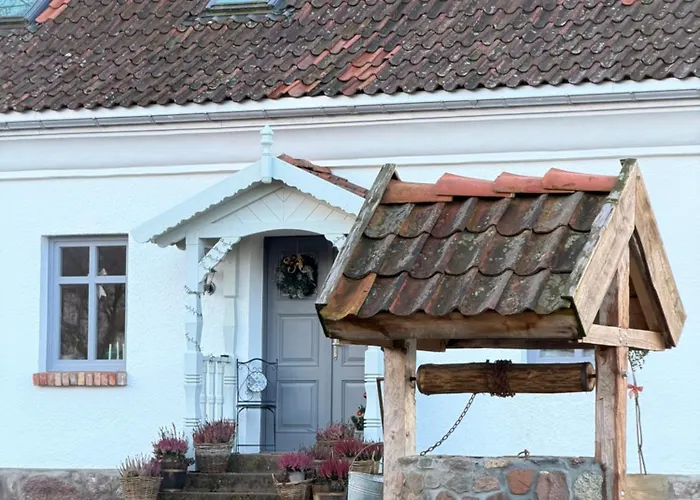 Farm stay Siedlisko Dobrych Snow Stare Juchy