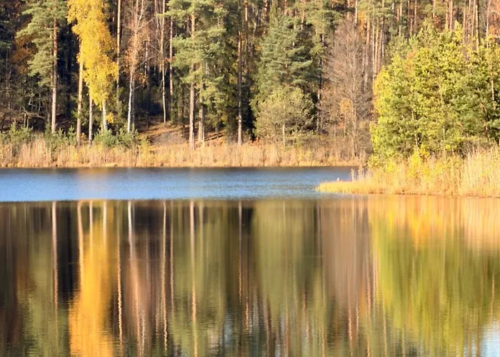 Siedlisko Dobrych Snow * Stare Juchy