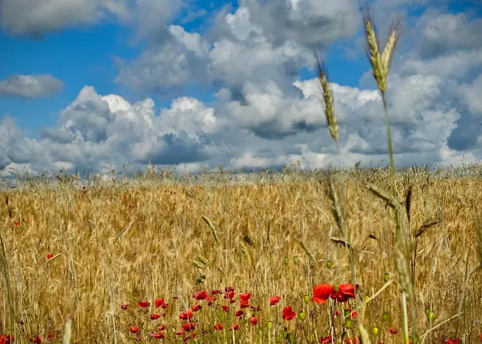 Siedlisko Dobrych Snow Stare Juchy
